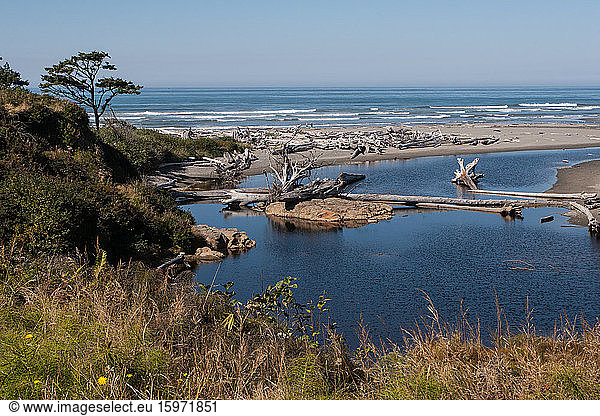 Pazifikküstenstrand mit Treibholz  Olympischer Nationalpark  UNESCO-Weltkulturerbe  Bundesstaat Washington  Vereinigte Staaten von Amerika  Nordamerika
