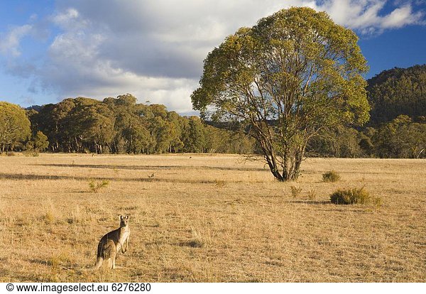 Pazifischer Ozean Pazifik Stiller Ozean Großer Ozean Australien New South Wales