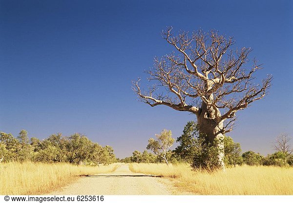 Pazifischer Ozean Pazifik Stiller Ozean Großer Ozean Australien Western Australia
