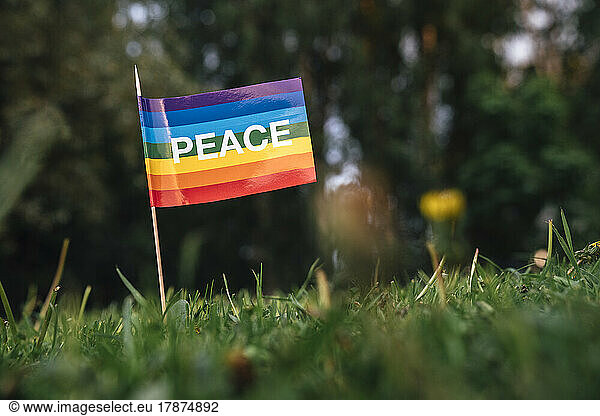 Peace flag on meadow at park