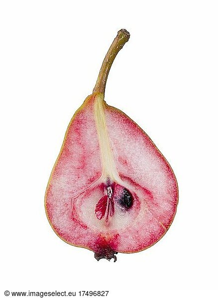Pear variety Westphalian Blood Pear  sectional view  halved