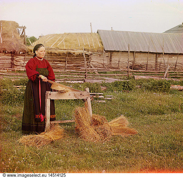 Peasant Woman Breaking Flax  Perm Province  Russian Empire  Prokudin-Gorskii Collection  1910