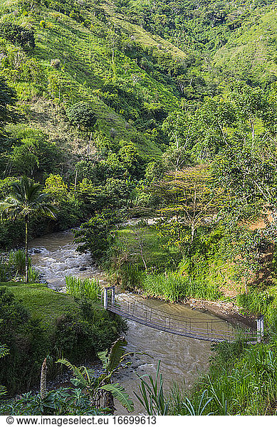 Pedestrian bridge over a river flowing through the Colombian jungle