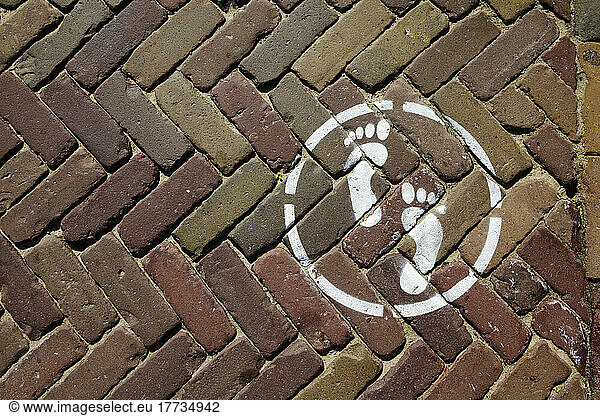Pedestrian zone marking on paving stone