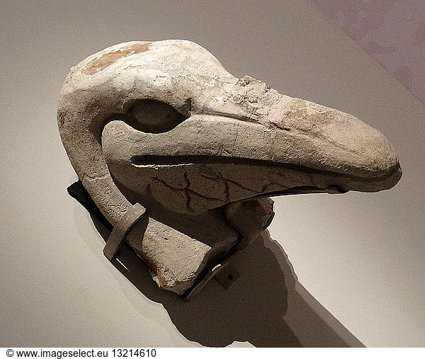 Pelican head in stucco