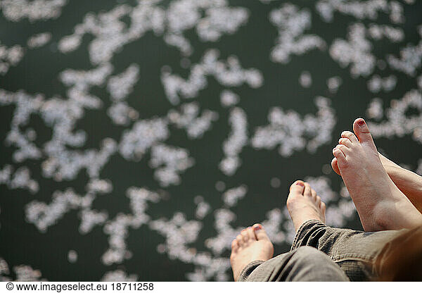 People dangle their feet as cherry blossom petals float in the Tidal Basin of the Potomac River and in Washington DC in spring.