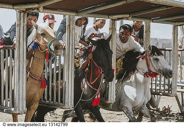 People motivating jockeys at starting gate during horse racing