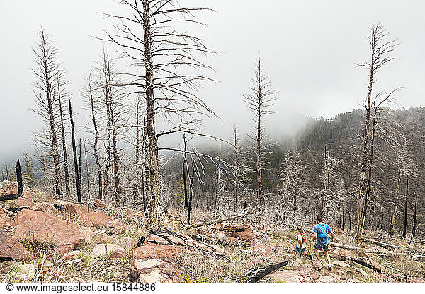 People run past burned trees on South Boulder Peak  Colorado