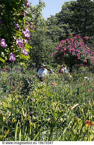 People walking at Claude Monet Museum showing his house and garden in Giverny  Normandy  France.