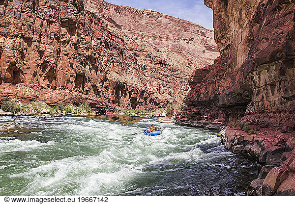 People white water rafting on Colorado River  Grand Canyon  Colorado  USA
