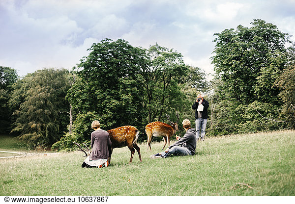People with deer on grassy field