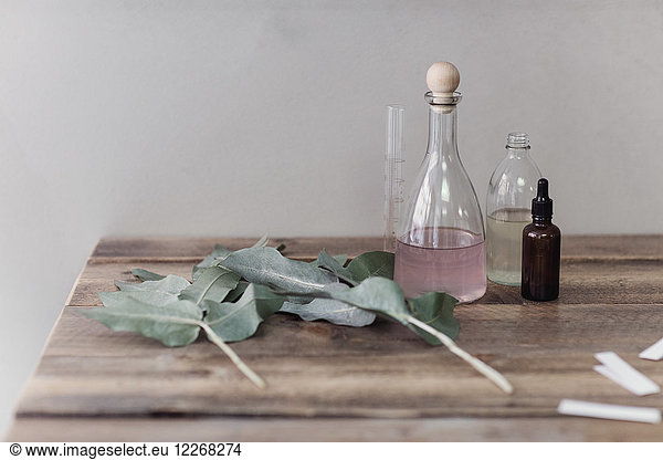 Perfume bottles with litmus strips and leaves on wooden table against wall at workshop