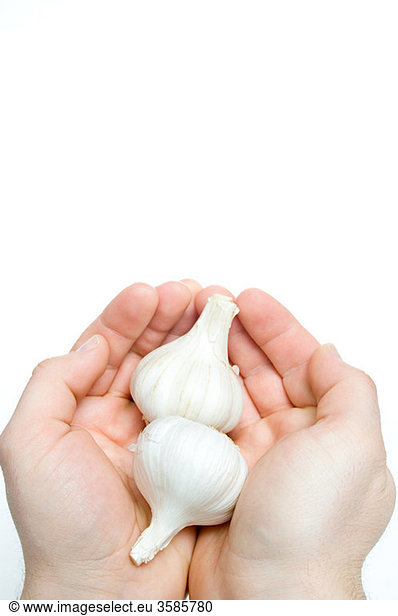 Person holding garlic bulbs