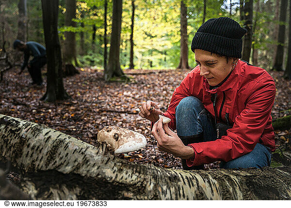 Person Identifying Mushroom Variety In A Forest In Scandinavia