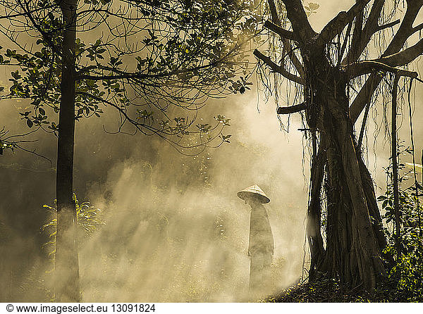 Person in conical hat walking in forest during foggy weather