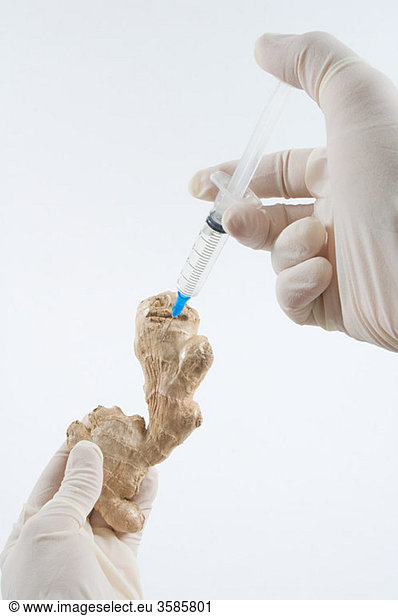 Person injecting ginger