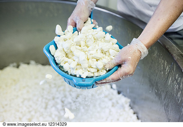 Person preparing cottage cheese