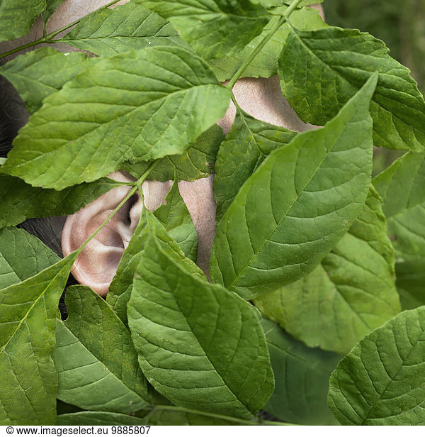 Person's ear through leaves  close up