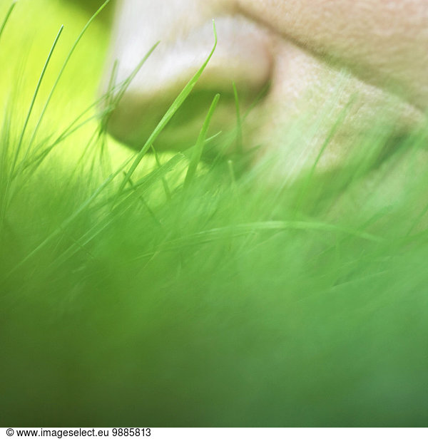 Person smelling grass  close up
