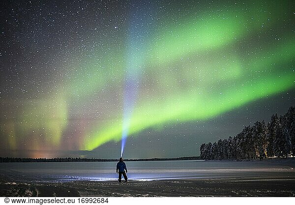 Person unter dem Nordlicht (Aurora Borealis)  das in Finnisch-Lappland innerhalb des Polarkreises in Finnland grün und violett leuchtet