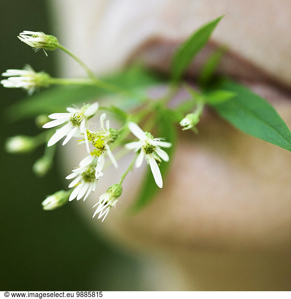 Person with flowers in mouth  close up