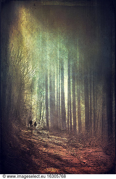 Persons walking in forest at sunlight  alienation
