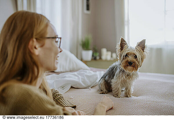 Pet dog sitting on bed by woman at home