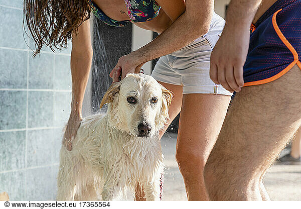 Pet owners bathing dog with water