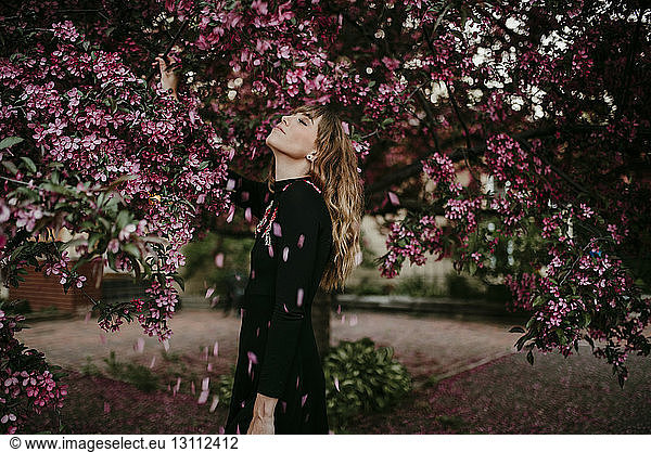 Petals falling on woman standing under blooming tree at park