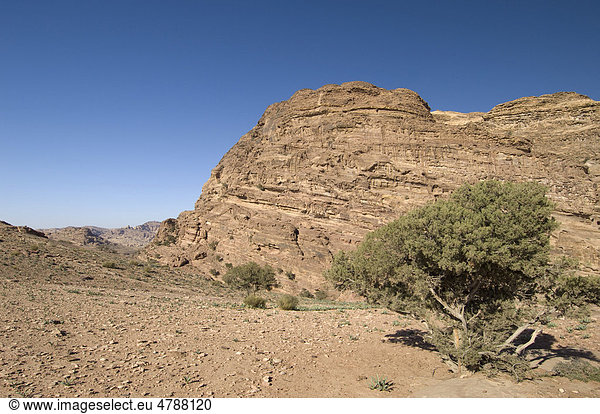 Petra Jordanien Mittlerer Osten