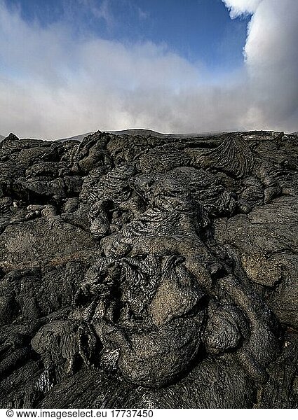 Petrified lava  volcanic rock in bizarre shapes  lava field  volcanic eruption  active table volcano Fagradalsfjall  Krýsuvík volcanic system  Reykjanes Peninsula  Iceland  Europe