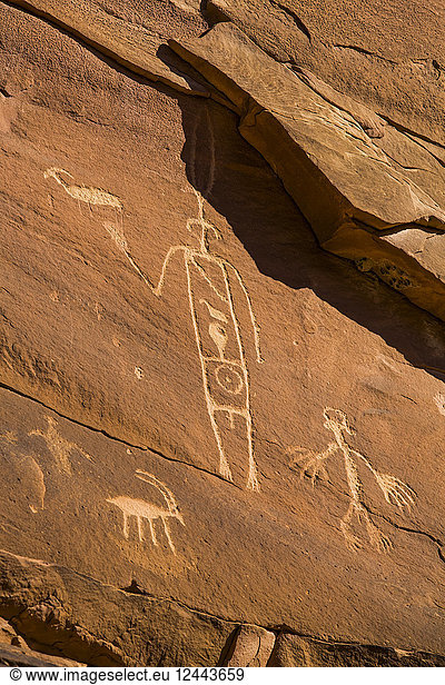 Petroglyphen der Pueblo-Vorfahren  Upper Sand Island  Bears Ears National Monument  Utah  Vereinigte Staaten von Amerika