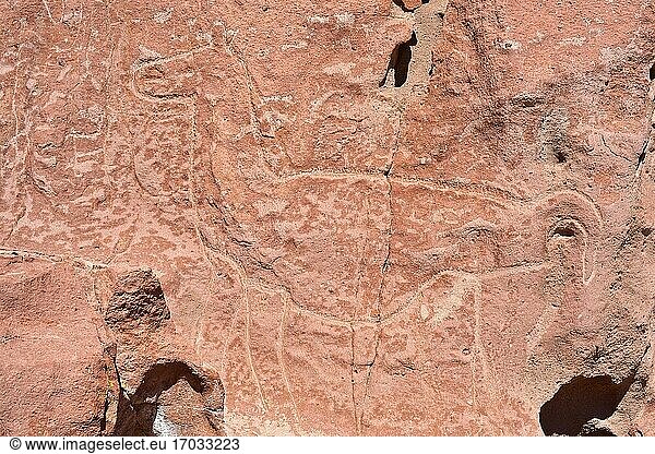 Petroglyphen in Estancia de Yerbas Buenas auf Rhyolith (vulkanisches Gestein). Lama  Taira-Tulan-Zeit. Santiago de Rio Grande  San Pedro de Atacama  Antofagasta  Chile.