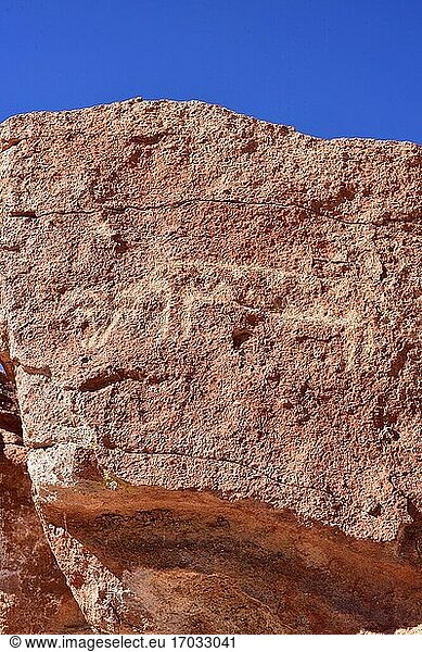 Petroglyphen in Estancia de Yerbas Buenas auf Rhyolith (vulkanisches Gestein). Zweiköpfiger Drache. Santiago de Rio Grande  San Pedro de Atacama  Antofagasta  Chile.