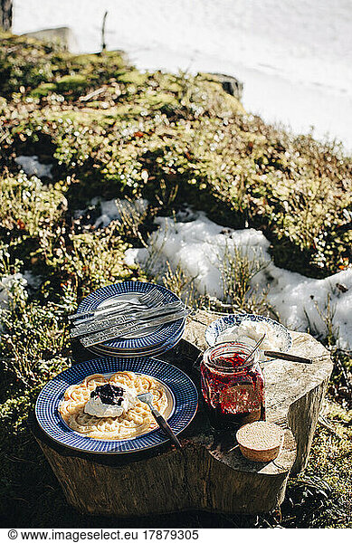 Pfannkuchen  serviert in einem Teller mit Konserven auf einem Baumstamm an einem sonnigen Tag