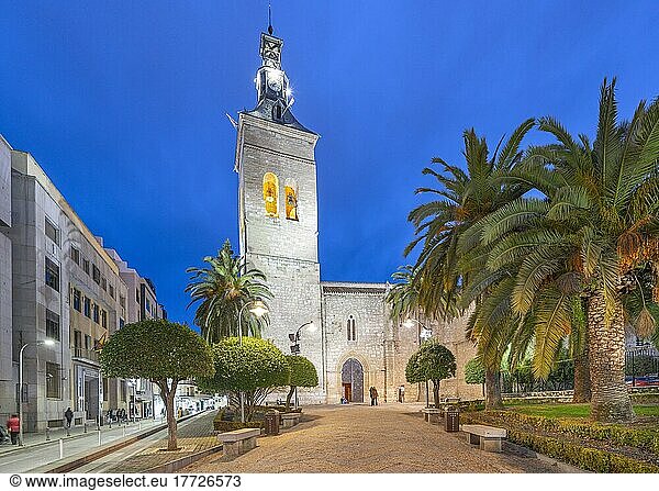 Pfarrkirche San Pedro  Ciudad Real  Kastilien-La Mancha  Spanien  Europa