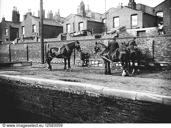 Pferde die zum Ziehen benutzt werden ruhen am Rande eines Kanals London um 1905. Künstler: Unbekannt