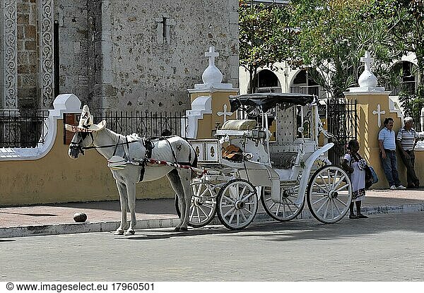 Pferdekutsche  am Plaza Mayor  Merida  Yucatan  Mexiko  Mittelamerika