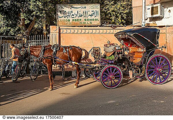 Pferdekutschen warten auf Fahrgäste  Luxor  Theben  Ägypten  Luxor  Theben  Ägypten  Afrika