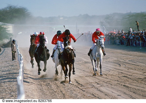 Pferderennen  Bahrain
