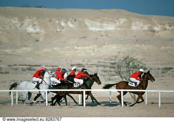 Pferderennen  Bahrain
