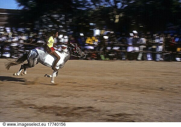Pferderennen  veranstaltet von der Society for the Prevention of Cruelty to Animals oder S. P. C. A. in Coimbatore  Tamil Nadu  Indien  Asien