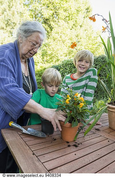 Pflanze Großmutter Enkelsohn umtopfen