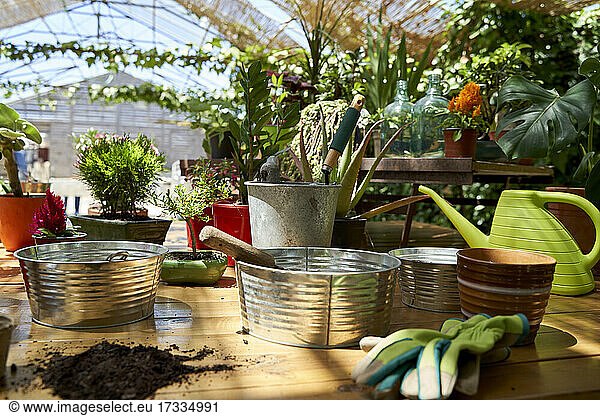 Pflanzgefäße aus Metall mit Topfpflanzen auf einem Holztisch im Hinterhof