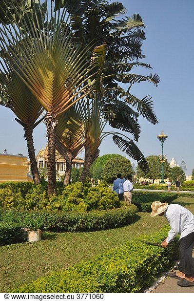 Phnom Penh (Cambodia): gardener at work at the Royal Palace