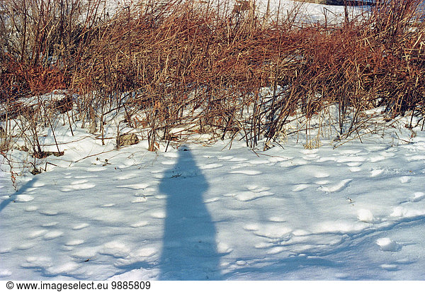Photographers self portrait shadow in snow covered field