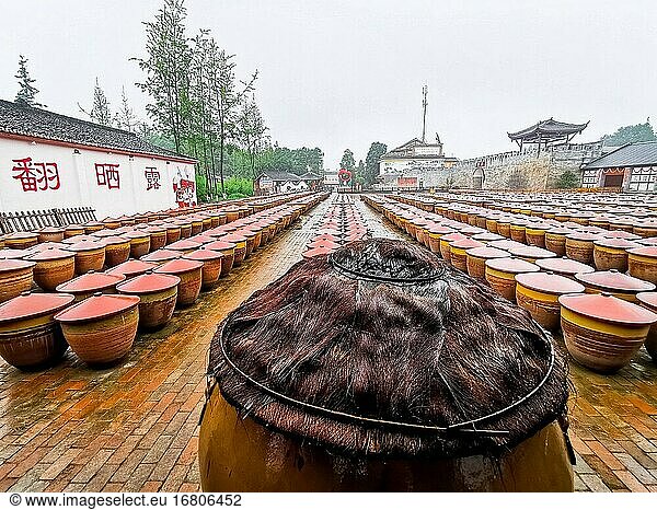 PI County of Bean Sauce wurde geboren