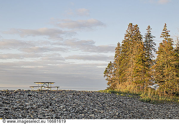 Picknicktisch und Kiefern an der Küste von Maine  Acadia.