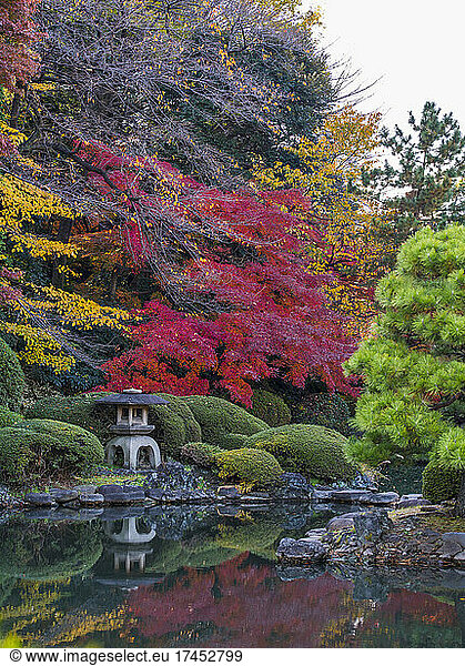 picture of secluded pond at Tokyo gardens