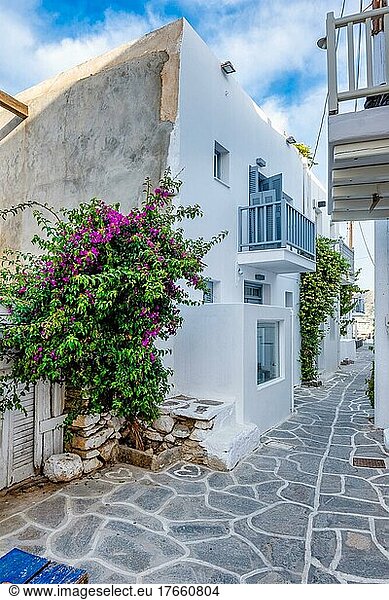 Picturesque narrow street with traditional whitewashed houses with blooming bougainvillea flowers of Naousa town in famous tourist attraction Paros island  Greece